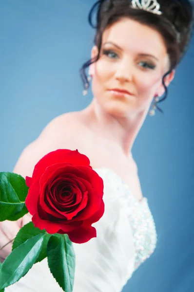 スタジオ撮影のローズと美しい花嫁 — ストック写真