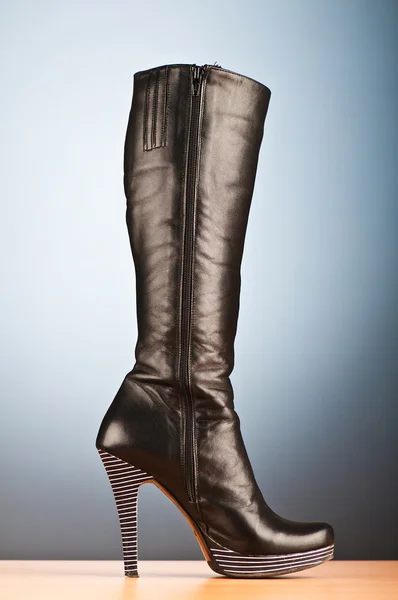Mode concept met vrouw top laarzen — Stockfoto