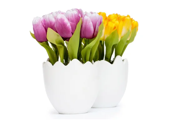 Coloridas flores de tulipán en la olla blanca — Foto de Stock