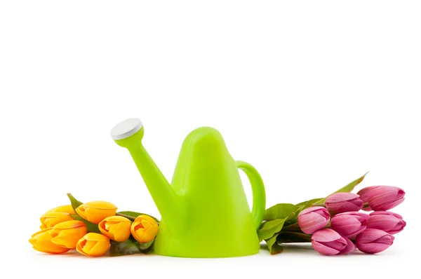 Concetto di giardinaggio - Tulipani e annaffiatoio — Foto Stock