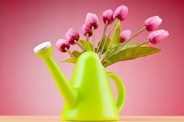 Gardening concept - Tulips and watering can — Stock Photo, Image