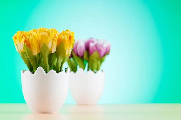 Colorful tulip flowers in the white pot — Stock Photo, Image