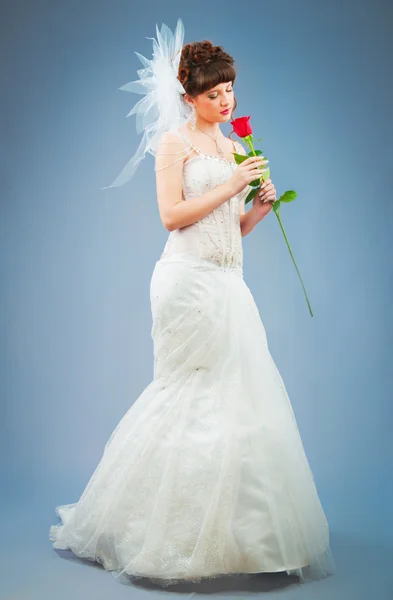 Bela noiva com rosa no estúdio de tiro — Fotografia de Stock