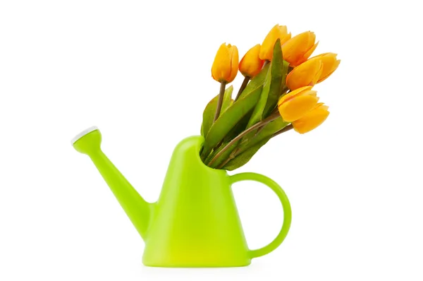 Concepto de jardinería - Tulipanes y regadera — Foto de Stock