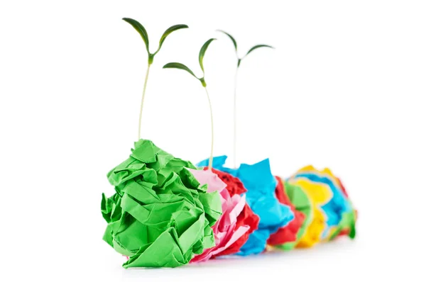 紙の白の実生植物と概念をリサイクル — ストック写真