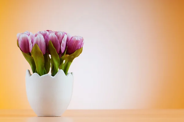 Fleurs de tulipes colorées dans le pot blanc — Photo