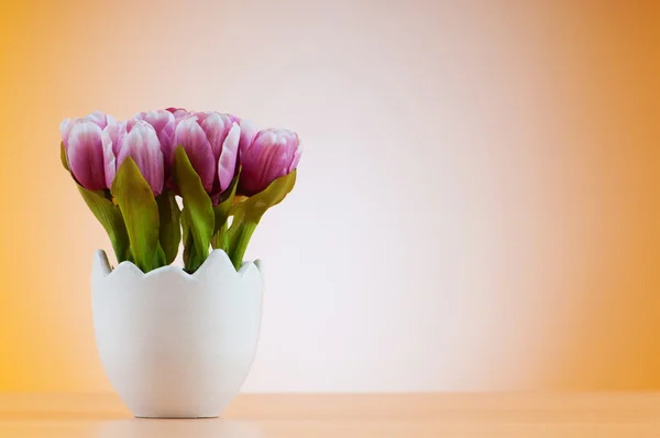 stock image Colorful tulip flowers in the white pot