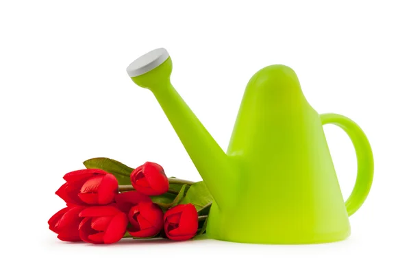 园艺概念-郁金香和浇灌罐 — 图库照片