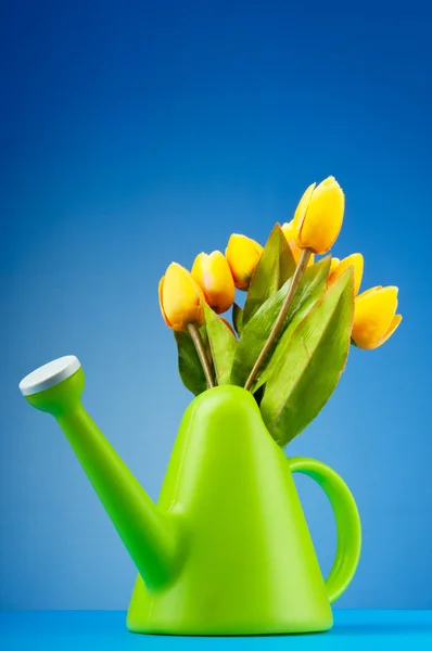Gardening concept - Tulips and watering can — Stock Photo, Image