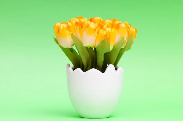 Colorful tulip flowers in the white pot — Stock Photo, Image