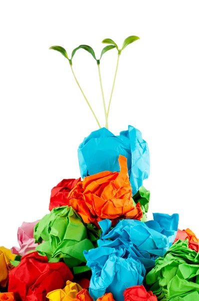 Concepto de reciclaje de papel con plántulas en blanco — Foto de Stock