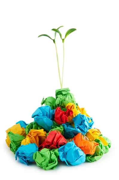Concepto de reciclaje de papel con plántulas en blanco — Foto de Stock