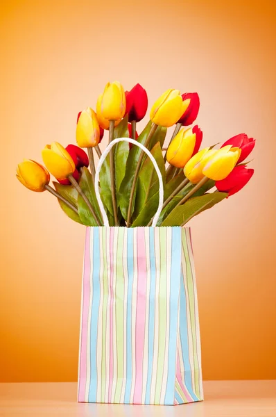 Tulipany w worek przeciw tło gradientowe — Zdjęcie stockowe