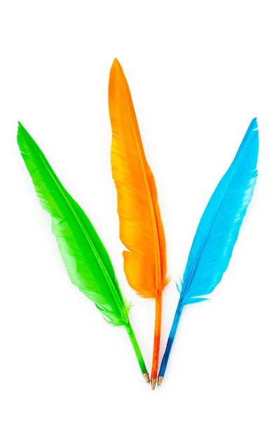 Writing feather isolated on the white background — Stock Photo, Image