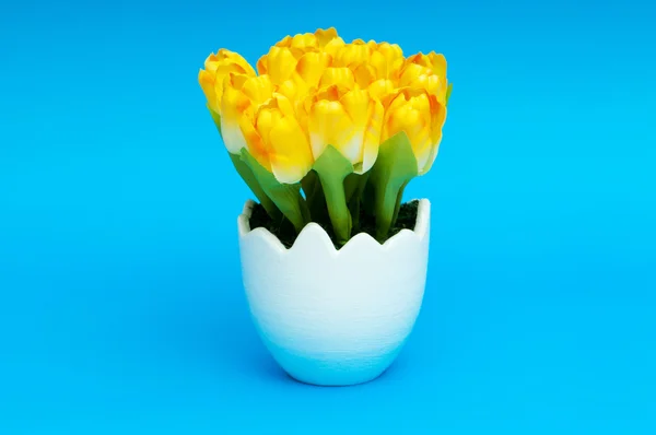 Coloridas flores de tulipán en la olla blanca —  Fotos de Stock