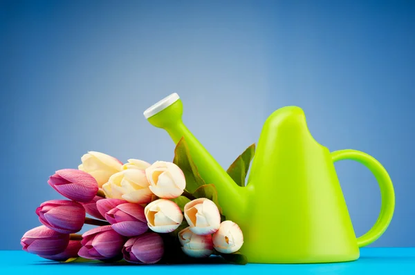 stock image Gardening concept - Tulips and watering can