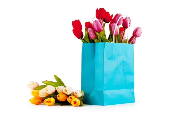 Tulpen in de zak geïsoleerd op wit — Stockfoto