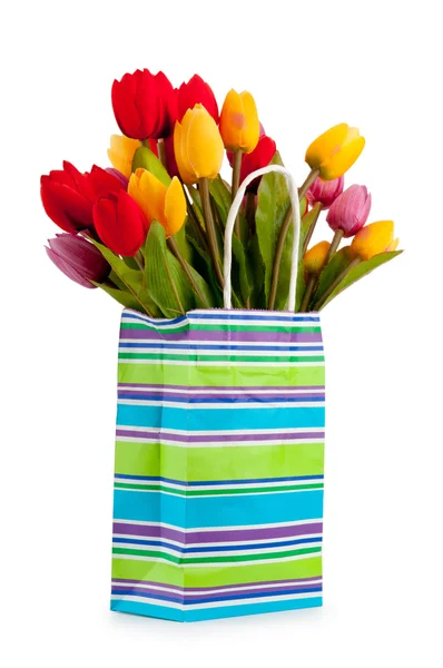 Tulipány v sáčku, izolované na bílém — Stock fotografie