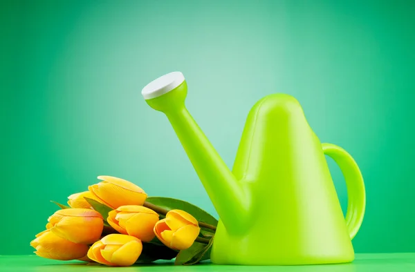 stock image Gardening concept - Tulips and watering can