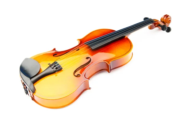 바이올린은 흰색 절연 — 스톡 사진