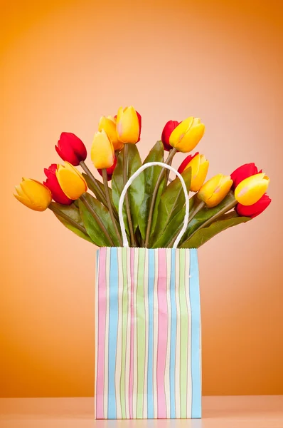 Tulpen im Sack vor Gradientenhintergrund — Stockfoto