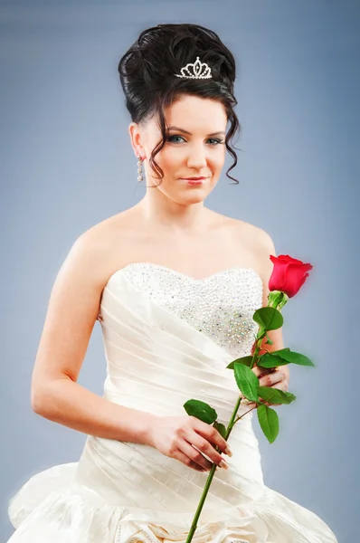 Indah pengantin dengan mawar di studio menembak — Stok Foto