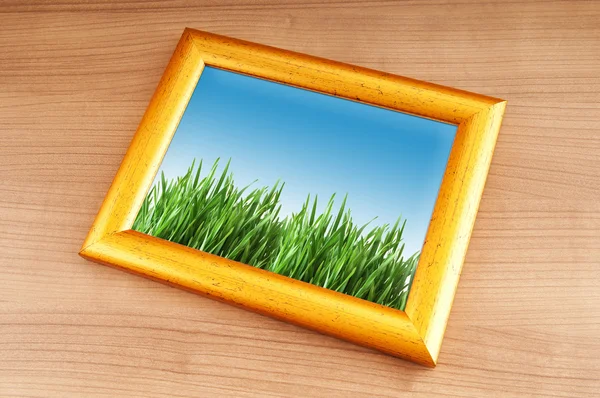 Zelené trávy na foto rámeček — Stock fotografie