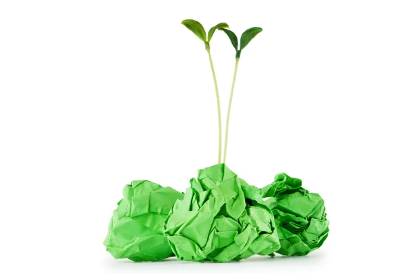 Papper återvinning koncept med plantor på vit — Stockfoto