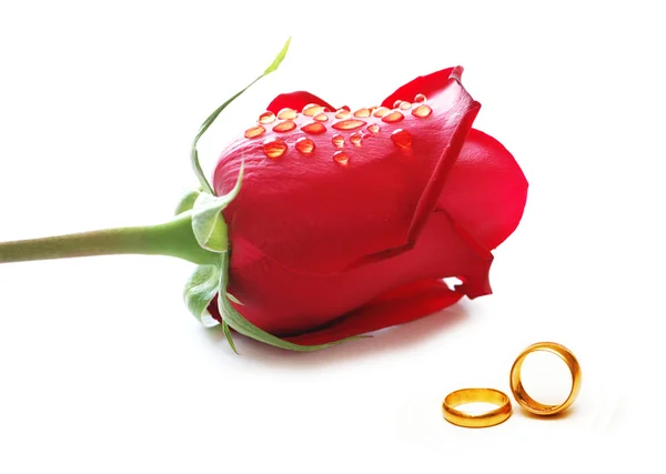 Concepto de boda con rosas y anillos — Foto de Stock