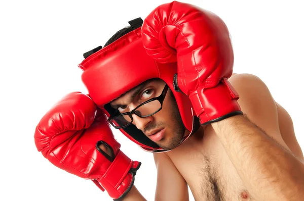 Смешной боксер изолирован на белом — стоковое фото