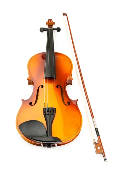 Violino isolado no branco — Fotografia de Stock