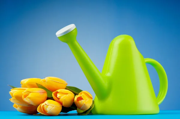 stock image Gardening concept - Tulips and watering can