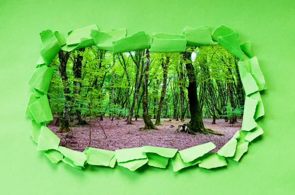 Papel roto con árboles a través del agujero —  Fotos de Stock