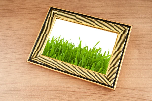Зелена трава на фоторамці — стокове фото
