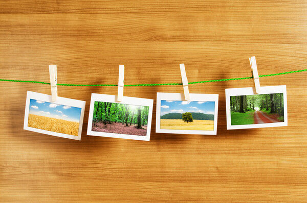 Лес на рамах
