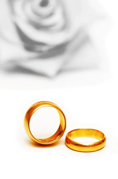 Svatební koncept s růží a prstýnky Royalty Free Stock Fotografie