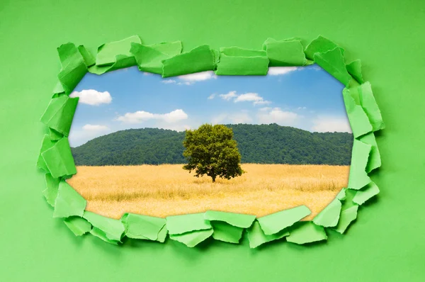 Gescheurd papier met bomen door het gat — Stockfoto