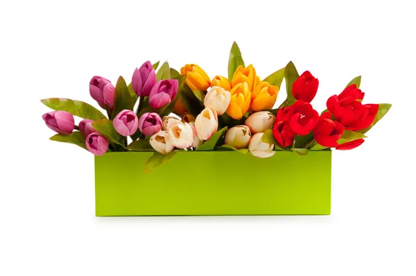 Подарункова коробка і тюльпани ізольовані на білому — стокове фото