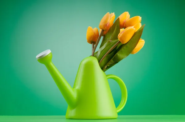 stock image Gardening concept - Tulips and watering can