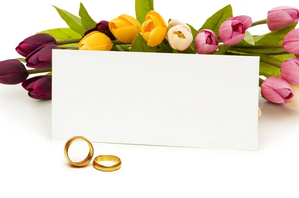 Concepto de boda con rosas y anillos — Foto de Stock