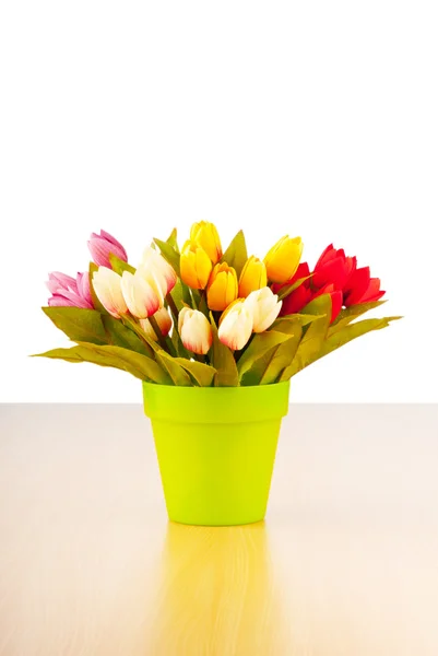 Tulpaner blommor isolerat på vita — Stockfoto