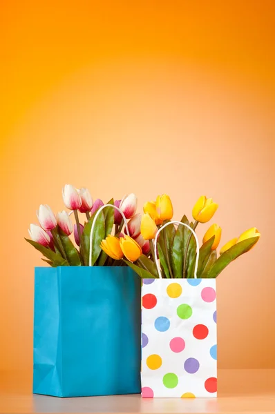 Tulips in the bag against gradient background — Stock Photo, Image