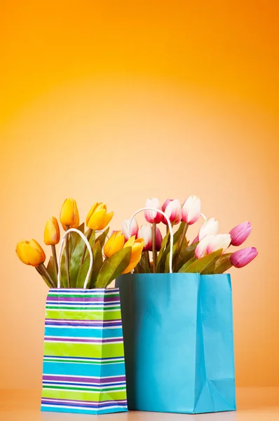 Tulipes dans le sac sur fond de dégradé — Photo