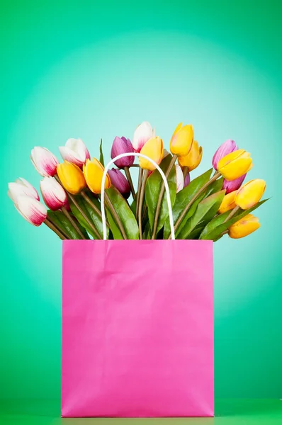 Tulipanes en la bolsa contra el fondo degradado — Foto de Stock
