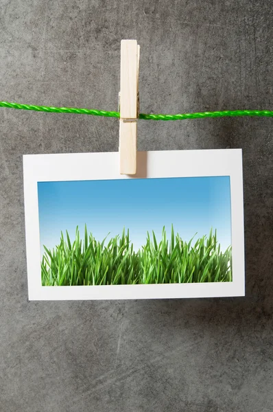 Grönt gräs på fotoramen — Stockfoto