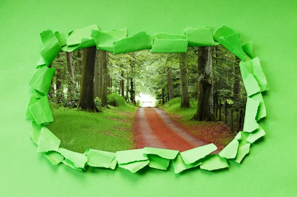 Carta strappata con alberi attraverso il foro — Foto Stock