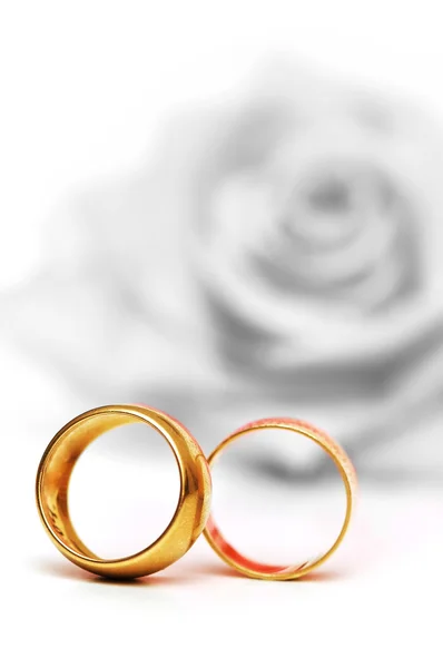 Hochzeitskonzept mit Rosen und Ringen — Stockfoto