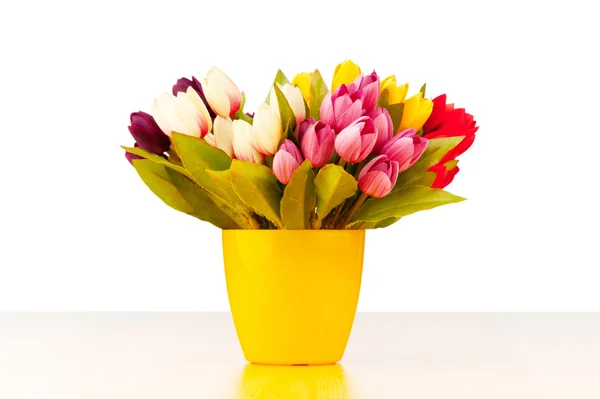 Tulpen blühen isoliert auf dem weißen — Stockfoto