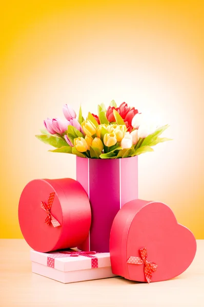Giftbox and tulips against gradient background — Stock Photo, Image