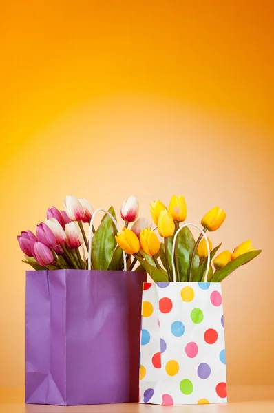 Tulipány v sáčku proti barevných přechodů — Stock fotografie
